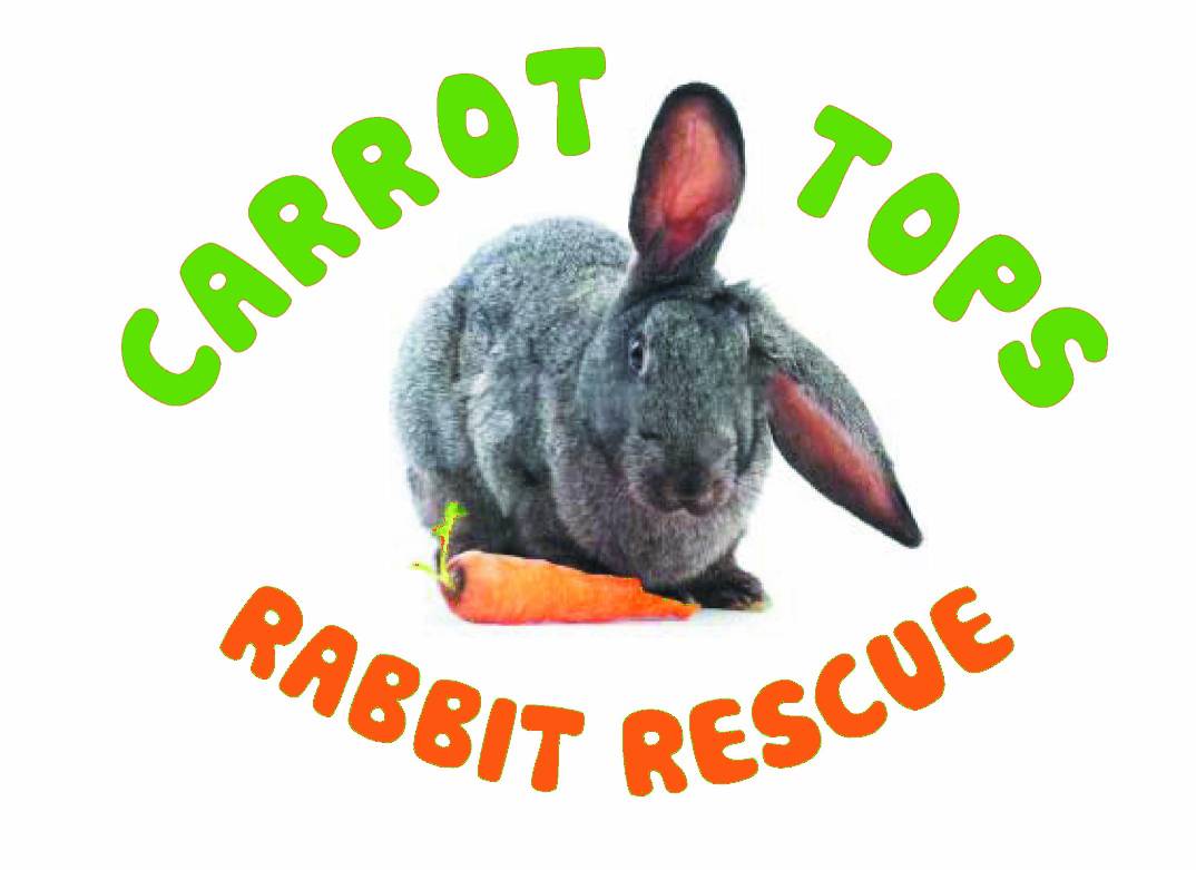 Carrot Tops Rabbit Rescue